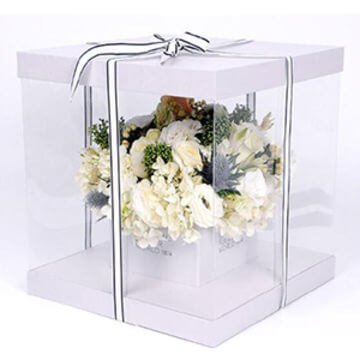 www.hoocing.com-Clear PVC packaging box for bakery food